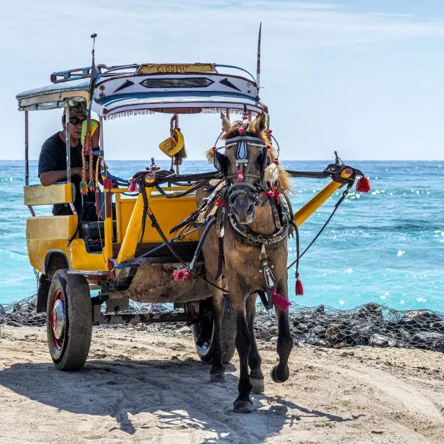 Cidomo or horse cart in gili t