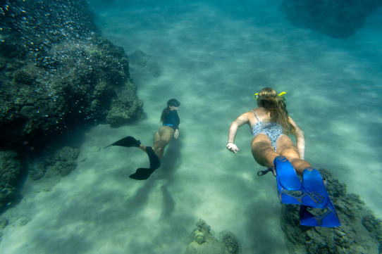 SNORKELING ACTIVITIES ARRANGEMENTS